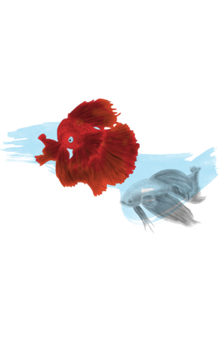 Peixes