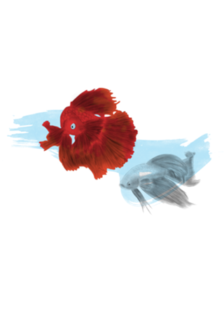 Peixes