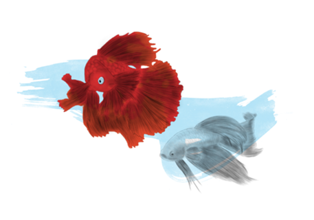 Peixes