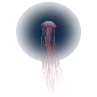Agua Viva