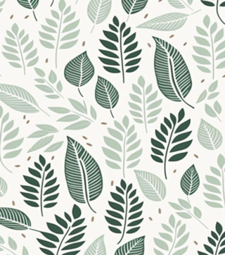 Folhas Minimalistas