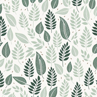 Folhas Minimalistas