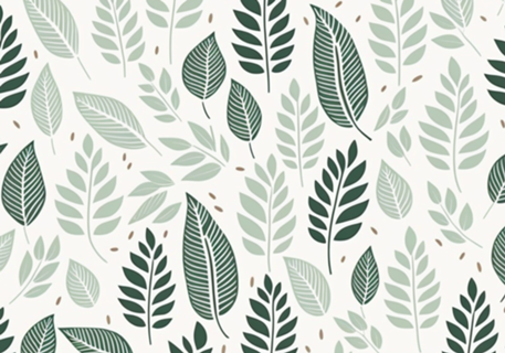 Folhas Minimalistas