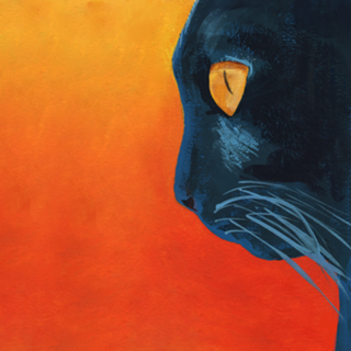 Gato Fundo Laranja