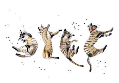 A queda do gato