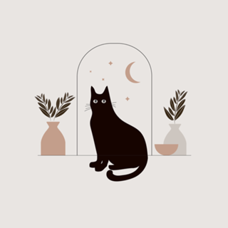 Gato na Varanda