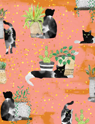 Cats & Plants