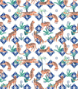 Tigers in Morocco