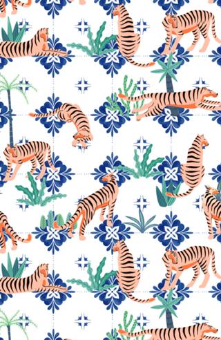 Tigers in Morocco