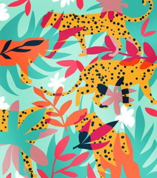 Chasing The Cheetah