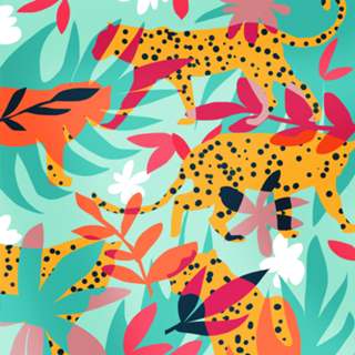 Chasing The Cheetah