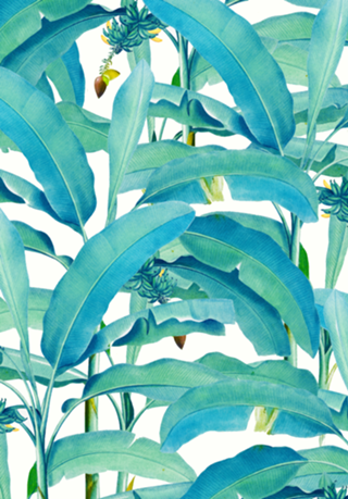 Banana Forest