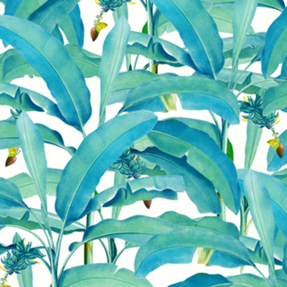 Banana Forest