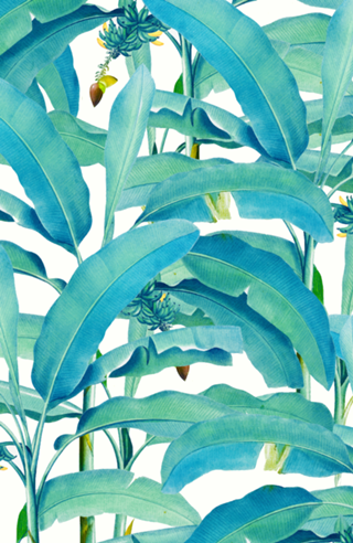 Banana Forest