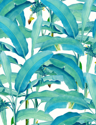Banana Forest