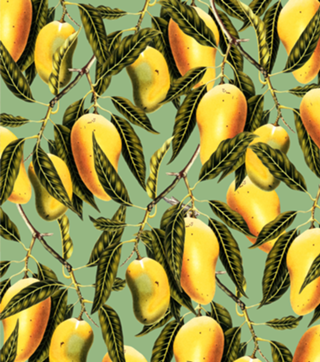 Mango Season