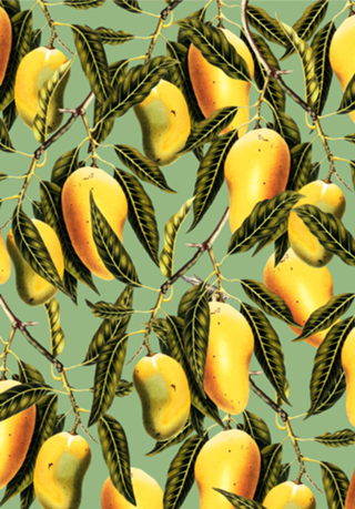 Mango Season