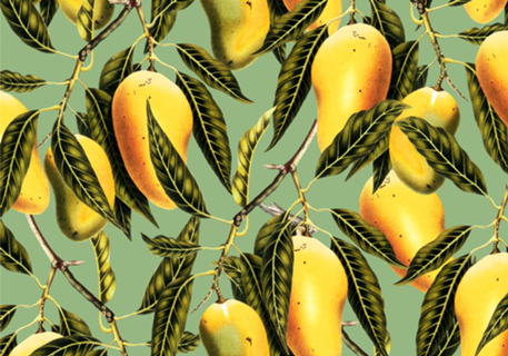 Mango Season