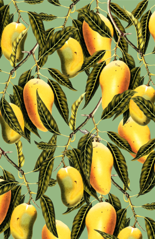 Mango Season