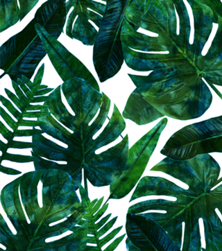 Tropical Nature Monstera Watercolor Painting