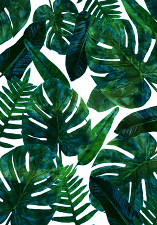 Tropical Nature Monstera Watercolor Painting