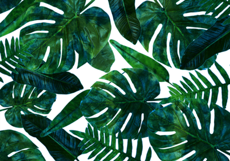 Tropical Nature Monstera Watercolor Painting