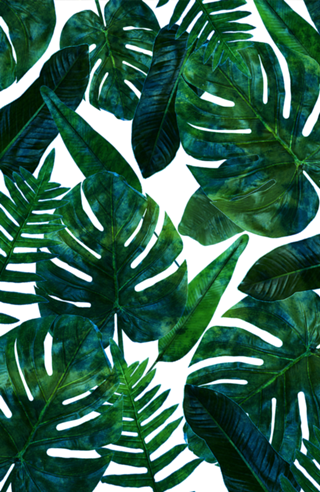 Tropical Nature Monstera Watercolor Painting
