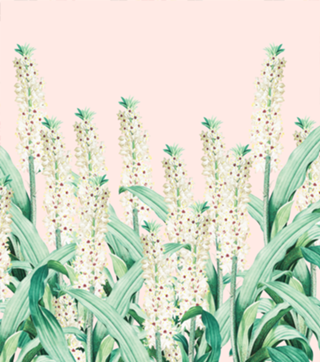 Forgiving Nature