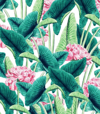 Lovely Botanical