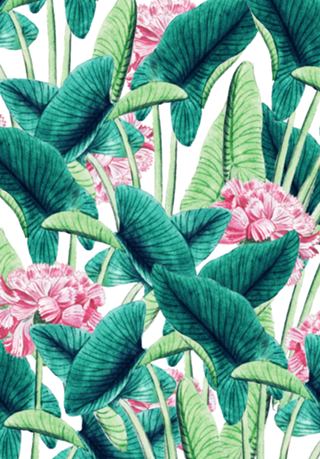 Lovely Botanical