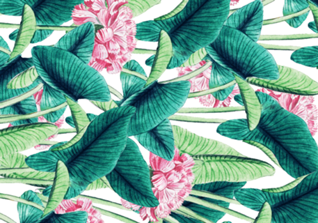 Lovely Botanical
