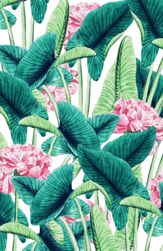 Lovely Botanical
