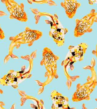 Goldfish