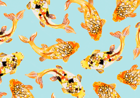 Goldfish
