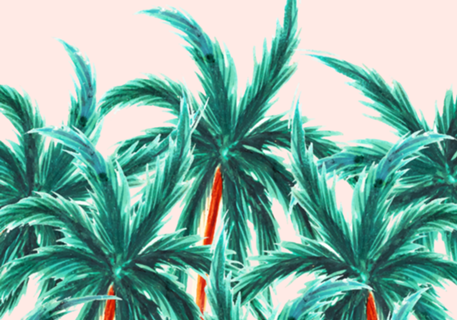 Coconut Trees