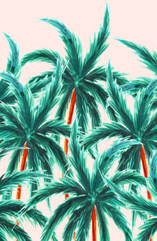 Coconut Trees