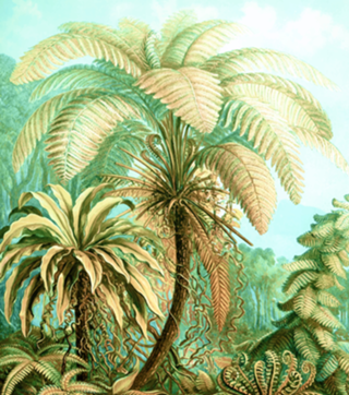 Vintage Tropical | Jungle Botanical Nature Banana