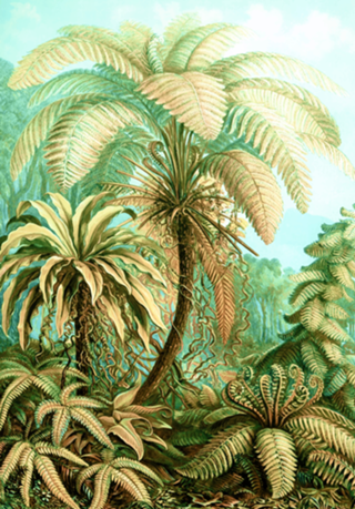 Vintage Tropical | Jungle Botanical Nature Banana