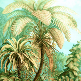 Vintage Tropical | Jungle Botanical Nature Banana