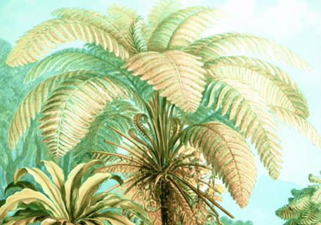Vintage Tropical | Jungle Botanical Nature Banana