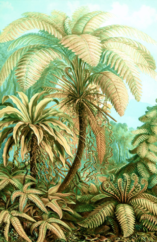 Vintage Tropical | Jungle Botanical Nature Banana
