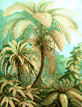 Vintage Tropical | Jungle Botanical Nature Banana