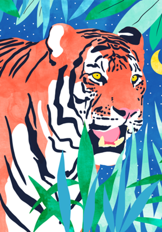 Tiger Forest
