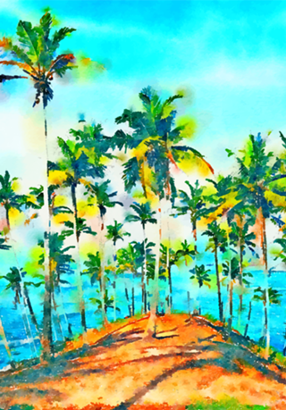 Seas the Day