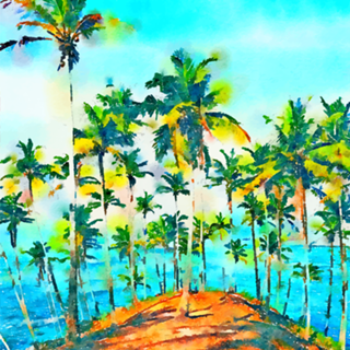 Seas the Day