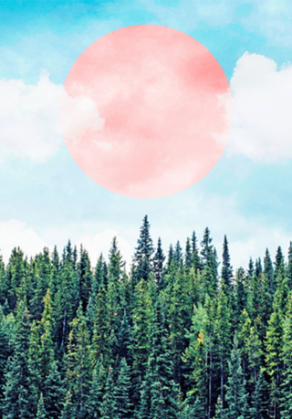 The Best Time For New Beginnings Is NOW