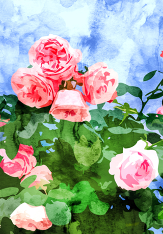 Sweet Rose Garden
