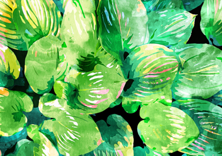 Colors Of The Jungle