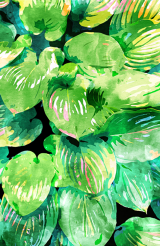 Colors Of The Jungle