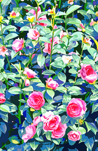 Winter Rose | Botanical Floral Garden